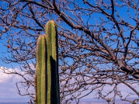San Miguel de Allende